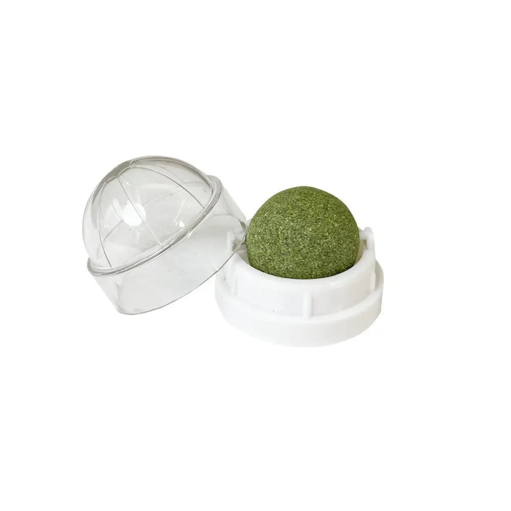 Natural Catnip Wall-Mounted Ball Toy and Scratcher for Cats - Promotes Digestion and Provides Healthy Treats