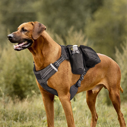 Comfortable Waterproof Dog Leash with Chest Strap for Pet Walking