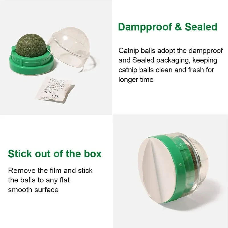 Natural Catnip Wall-Mounted Ball Toy and Scratcher for Cats - Promotes Digestion and Provides Healthy Treats