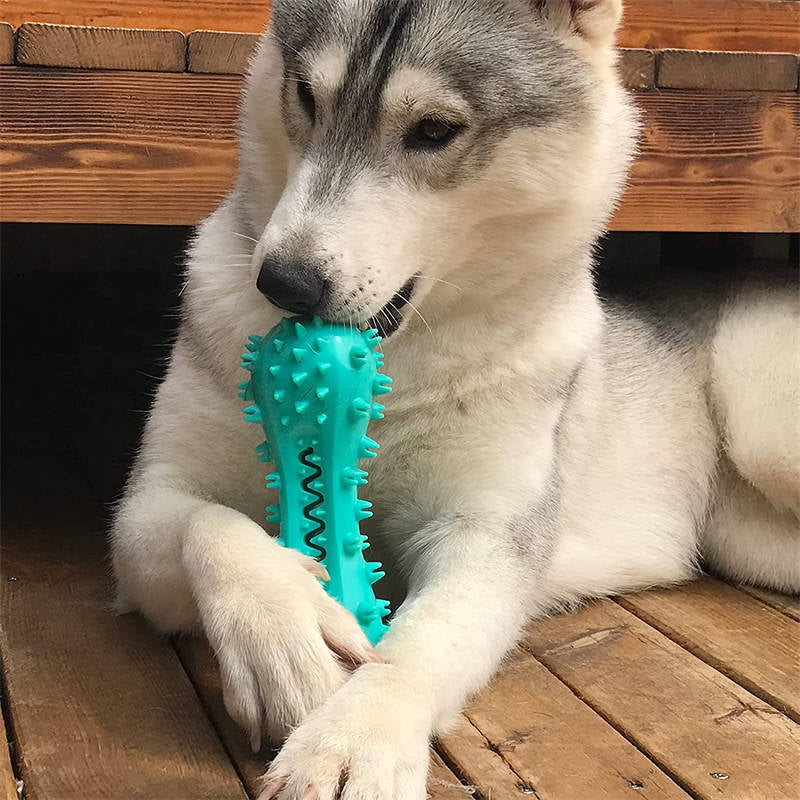 Rubber Molar Stick Chew Toys for Aggressive Dogs - Oral Health Cleaning Solution