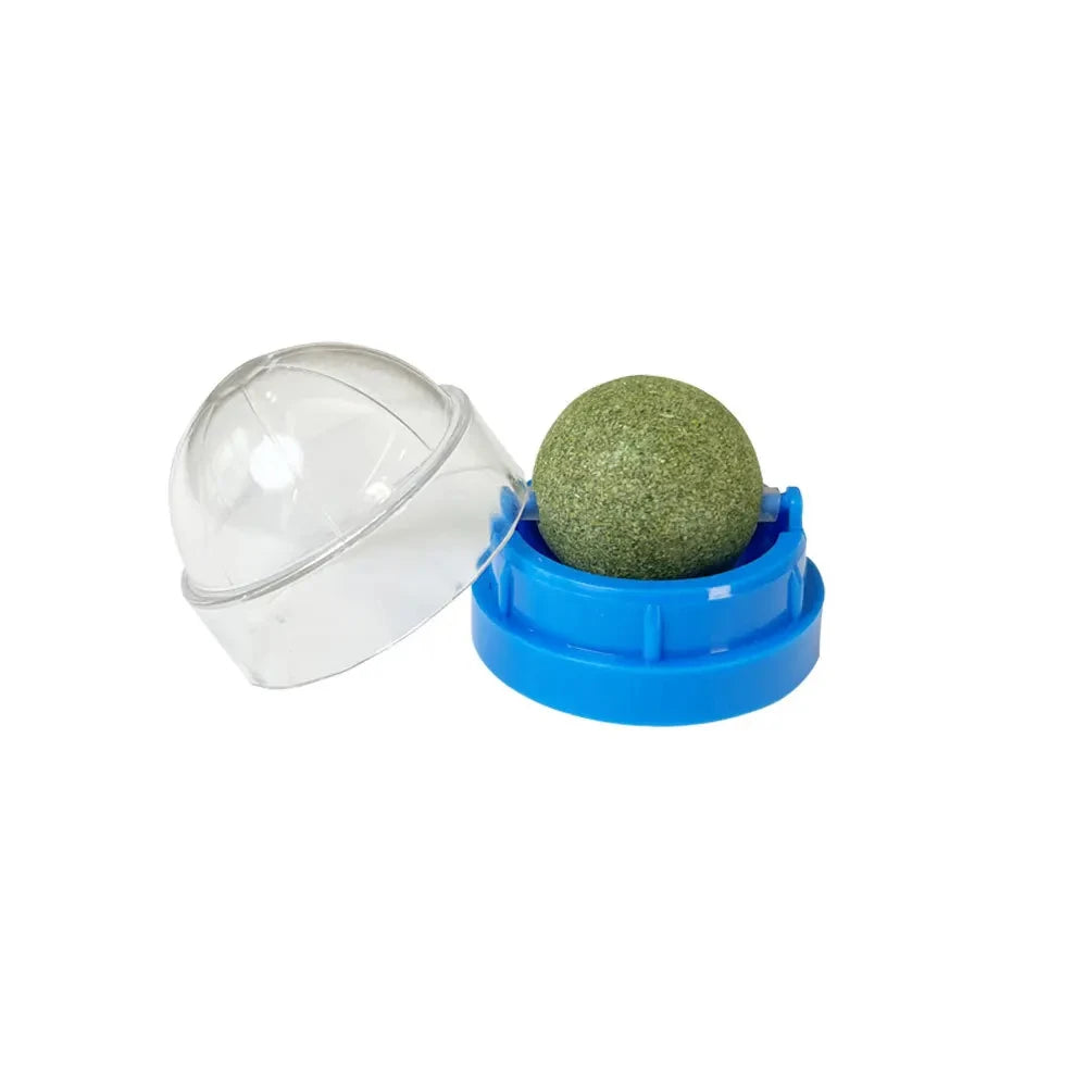 Natural Catnip Wall-Mounted Ball Toy and Scratcher for Cats - Promotes Digestion and Provides Healthy Treats