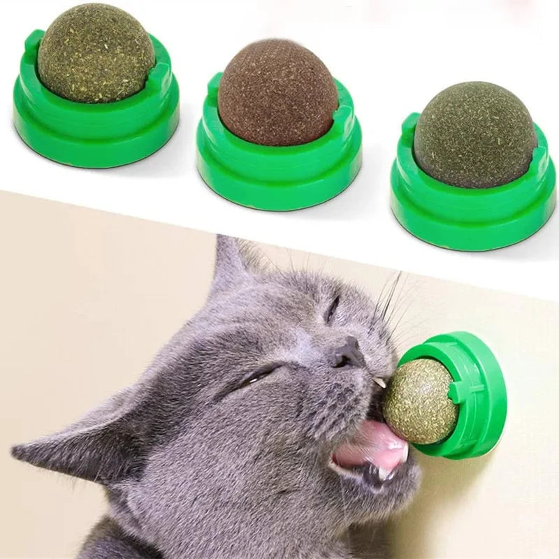 Natural Catnip Wall-Mounted Ball Toy and Scratcher for Cats - Promotes Digestion and Provides Healthy Treats