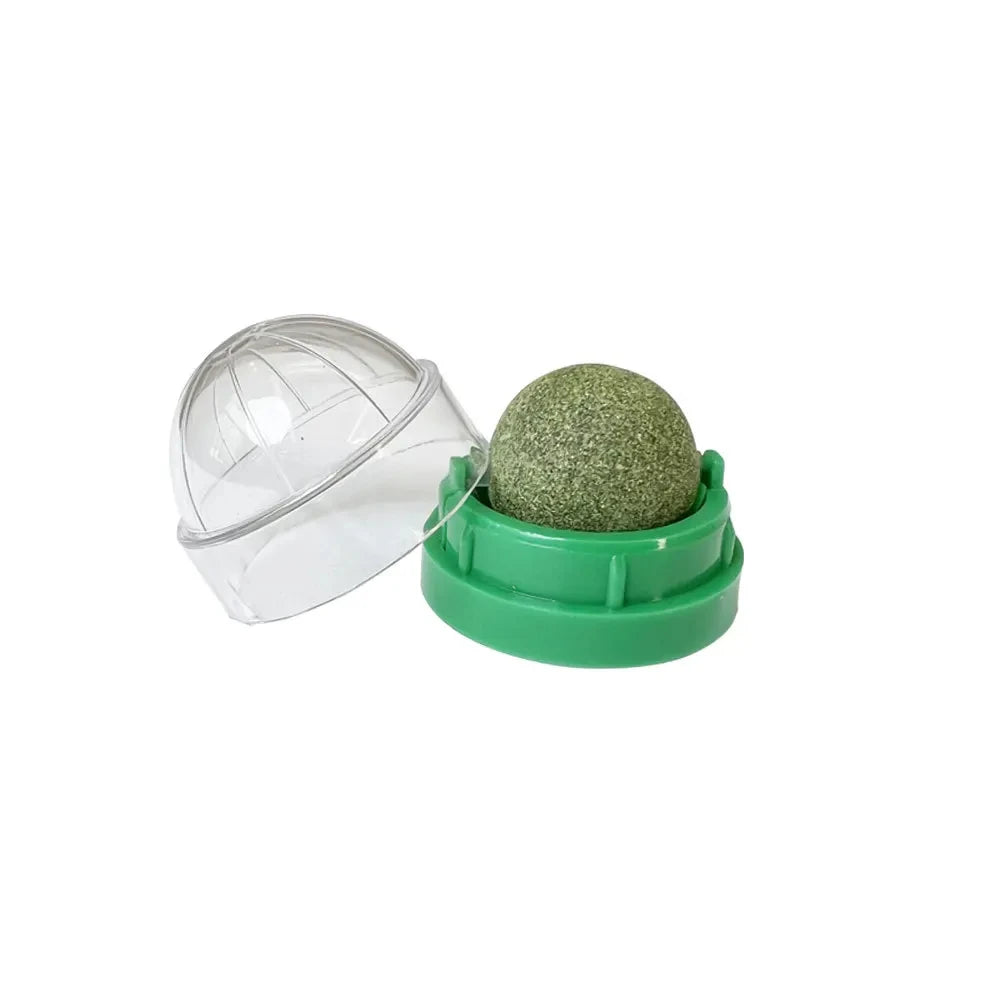 Natural Catnip Wall-Mounted Ball Toy and Scratcher for Cats - Promotes Digestion and Provides Healthy Treats